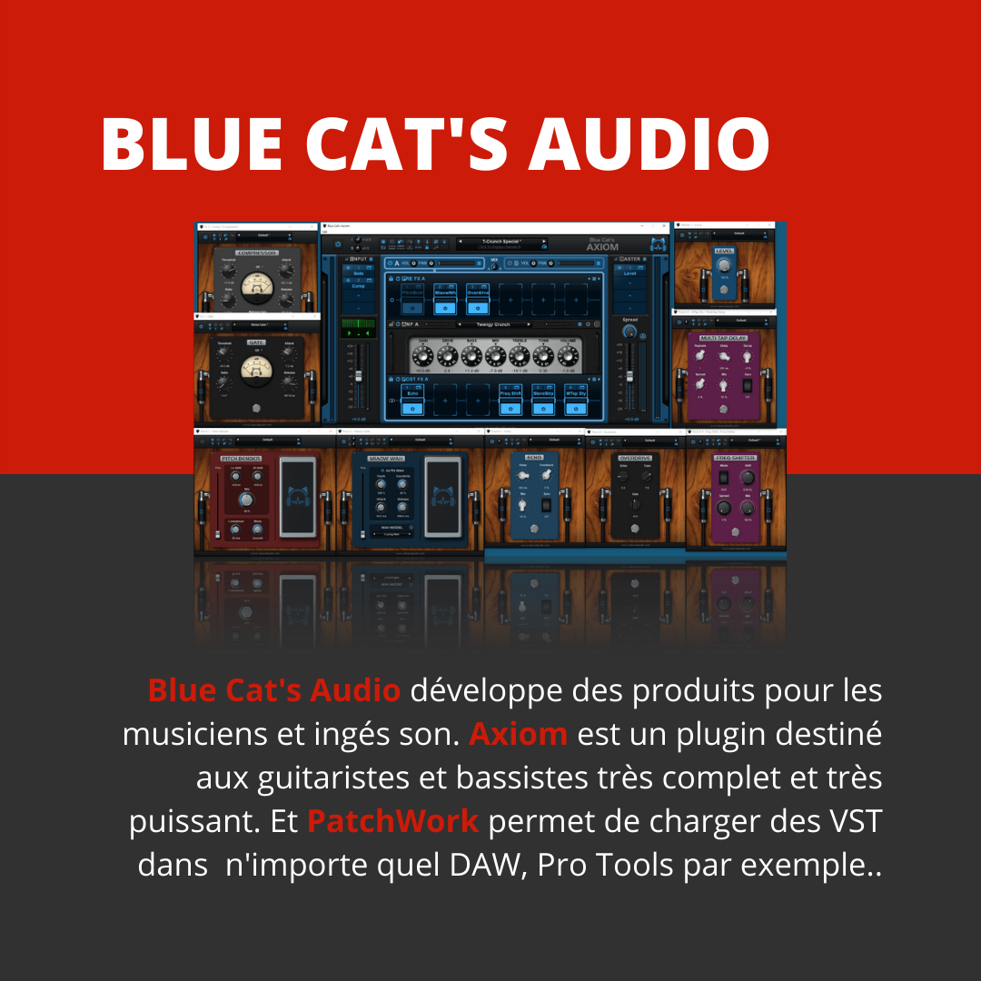 Plugin audio Made in France : Blue Cat's Audio