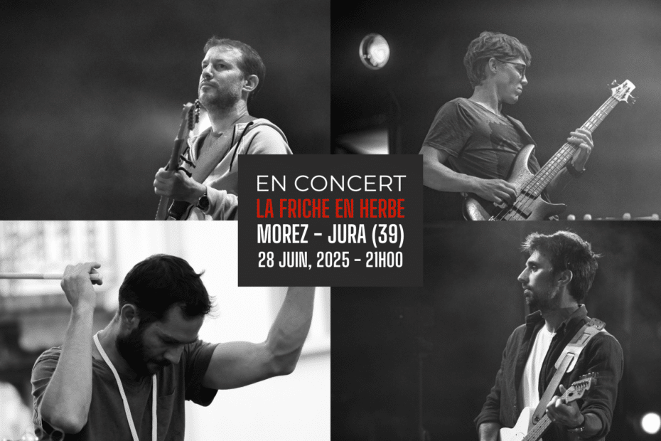 concert à la friche en herbe
